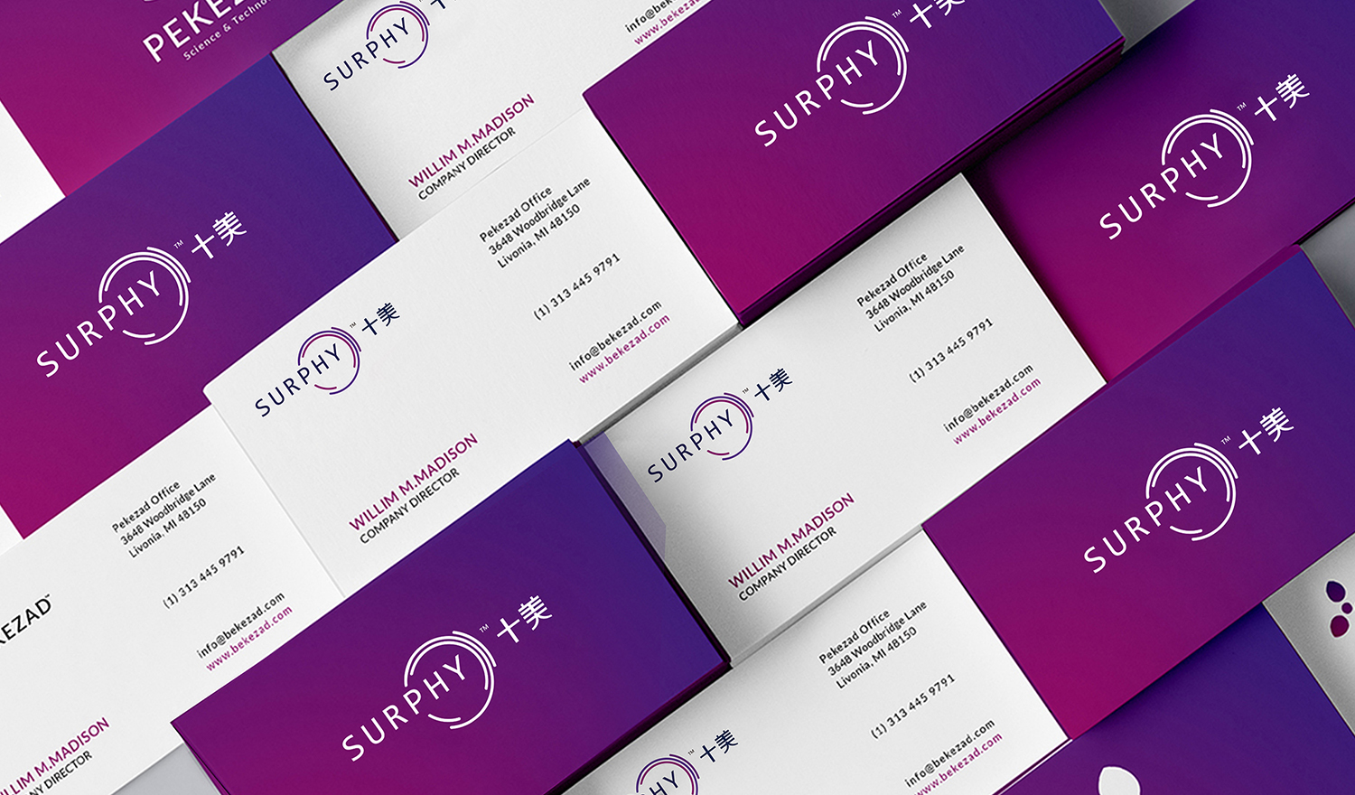 持美电子logo设计